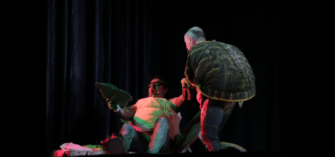 Tortugas – Una aventura inesperada