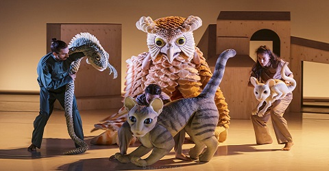 La gata que quiso cambiar la historia