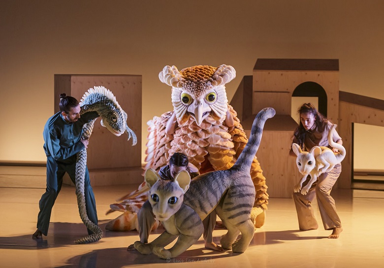 La gata que quiso cambiar la historia - Teatro Circo (Albacete)