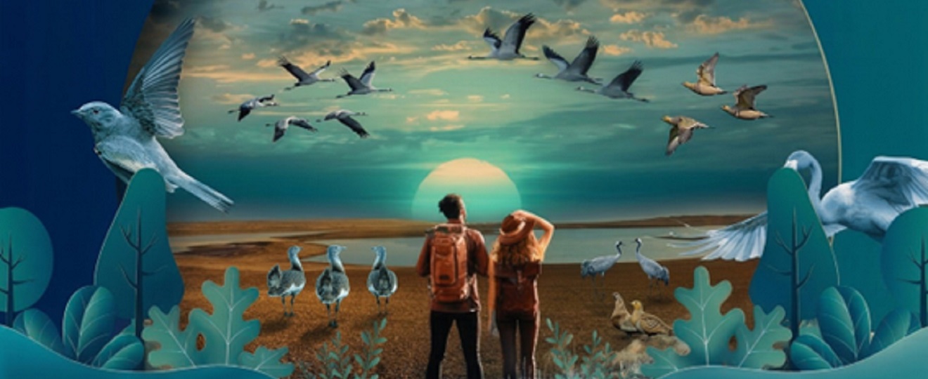 Ruta a Salicor: Observación de Aves esteparias