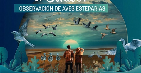 Ruta a Salicor: Observación de Aves esteparias