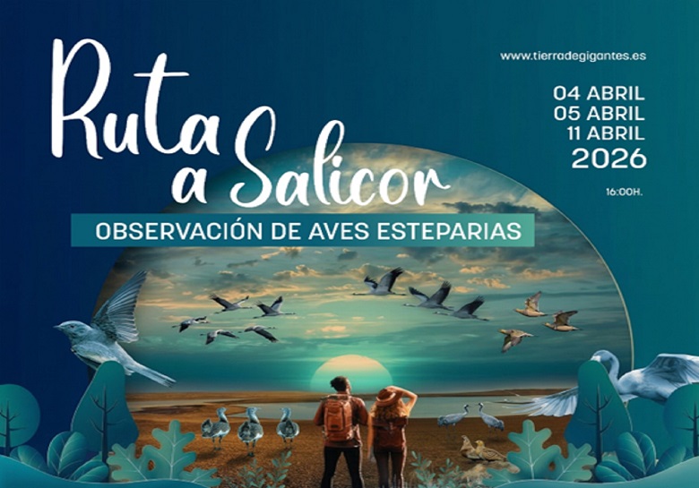 Ruta a Salicor: Observación de Aves esteparias - Visitas turísticas Campo de Criptana (Campo de Criptana)