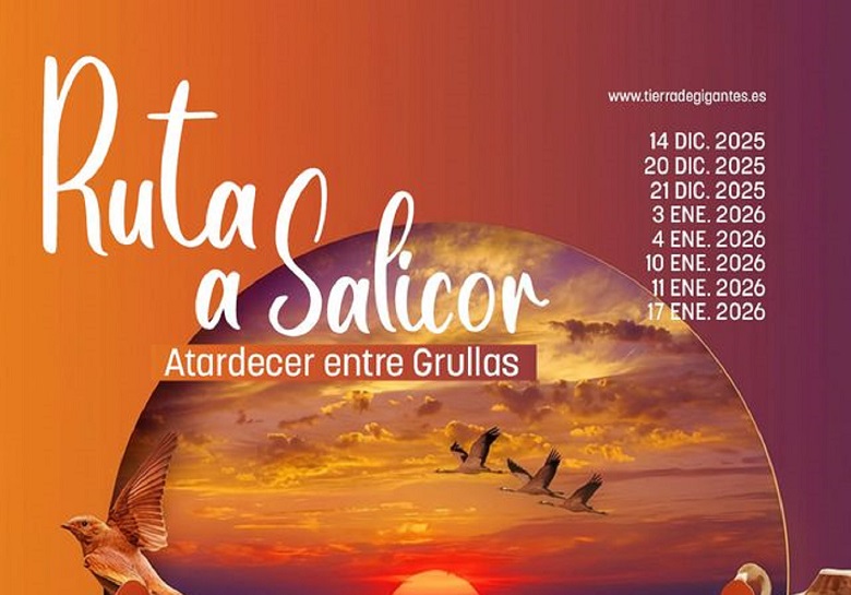 Ruta a Salicor: Atardecer entre Grullas - Visitas turísticas Campo de Criptana (Campo de Criptana)