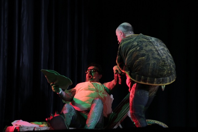 Tortugas – Una aventura inesperada